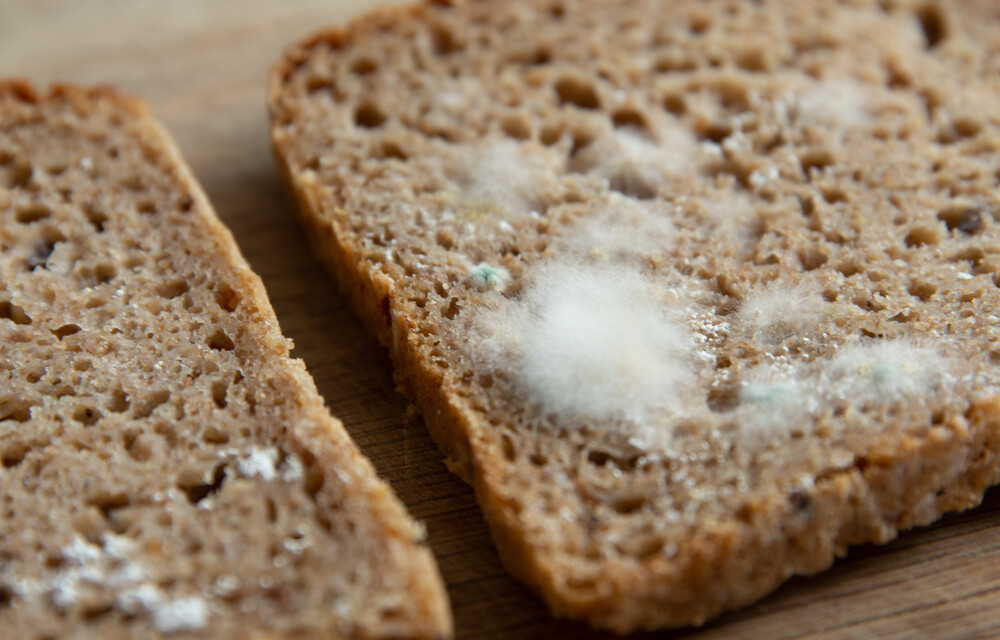 Brot Kann Schimmeln Was Kannst Du Sprüche Gesundheit | Brot und Gebäck | Land schafft Leben